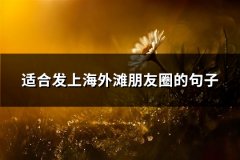 适合发上海外滩朋友圈的句子(共51句)