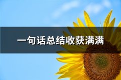 一句话总结收获满满(实用65句)