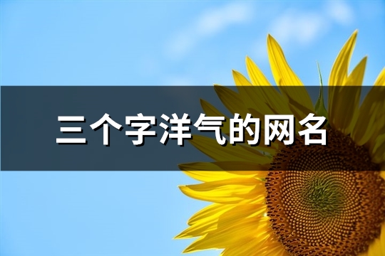 三个字洋气的网名(精选261个)(三个字洋气的网名男生)