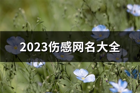 2023伤感网名大全(精选560个) 2020年最新伤感网名