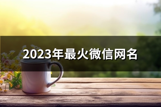2023年最火微信网名(精选996个) 2023年最火微信头像