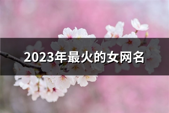 2023年最火的女网名(精选1387个) 2023年最火的女生头像真人