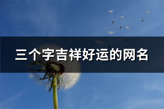 三个字吉祥好运的网名(216个)(三个字吉祥好运名字)