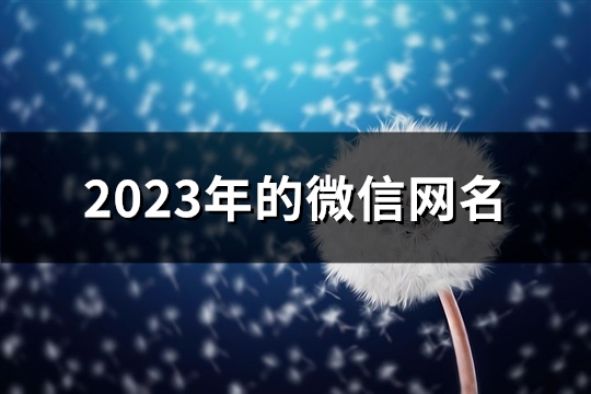 2023年的微信网名(精选936个) 2023年的微信网名女