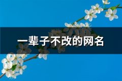 一辈子不改的网名(441个)