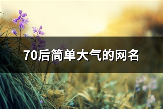 70后简单大气的网名(367个)(70后简单大气的网名女)