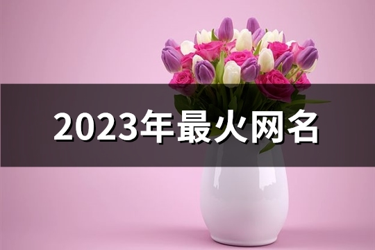 2023年最火网名(共927个) 2023年最火网名男
