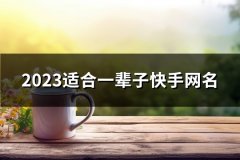 2023适合一辈子快手网名(共486个)