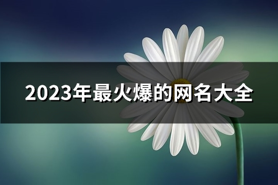 2023年最火爆的网名大全(共1269个) 2023年最火爆的微信名带符号