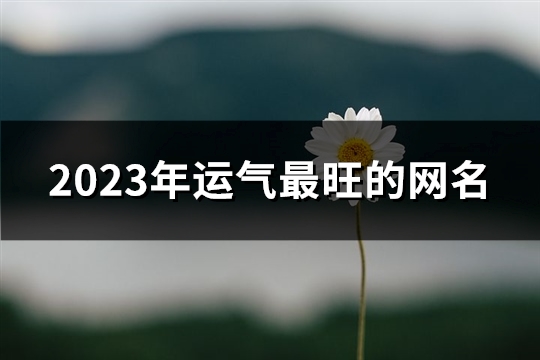 2023年运气最旺的网名(优选1097个) 2023年运气最旺生肖