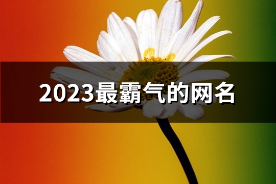 2023最霸气的网名(精选726个) 2023最霸气的网名符号