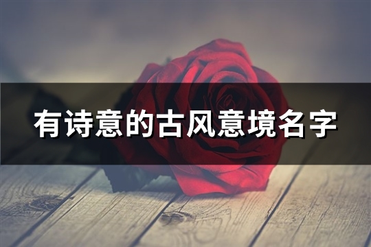 有诗意的古风意境名字(优选572个)(有诗意的古风意境图片)