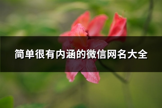 简单很有内涵的微信网名大全(优选389个)(简单很有内涵的网名)