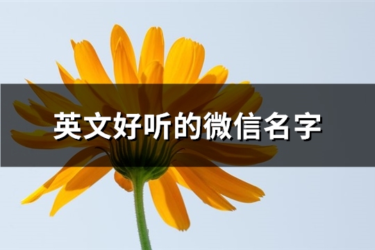 英文好听的微信名字(优选154个)(英文好听的微信名字)