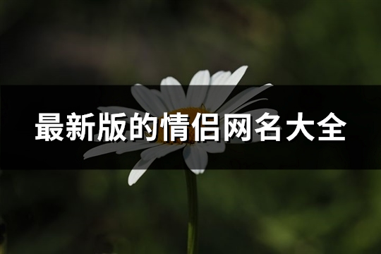 最新版的情侣网名大全(271个)(2020年最新情侣网名我要个性网)