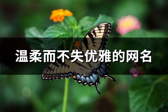 温柔而不失优雅的网名(精选295个)(温柔而不失优雅的意思)
