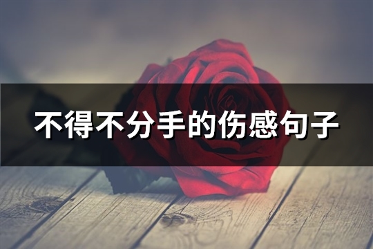 不得不分手的伤感句子