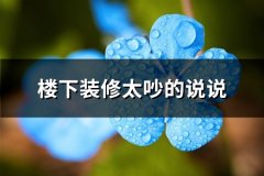楼下装修太吵的说说