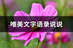 唯美文字语录说说(通用108句)