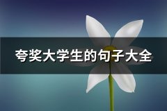 夸奖大学生的句子大全(精选86句)