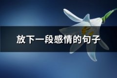 放下一段感情的句子(共70句)