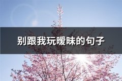 别跟我玩暧昧的句子(62句)