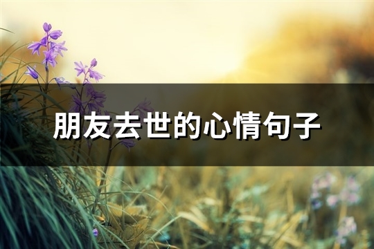 朋友去世的心情句子(汇总58句)