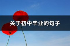 关于初中毕业的句子(共70句)