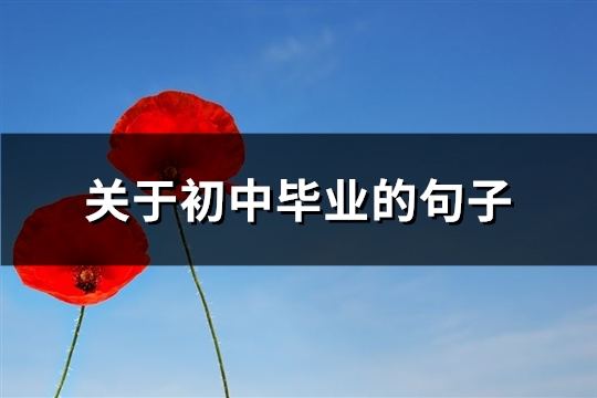 关于初中毕业的句子(共70句)