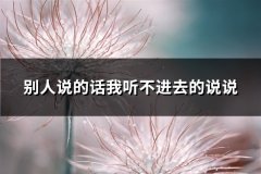 别人说的话我听不进去的说说(实用61句)