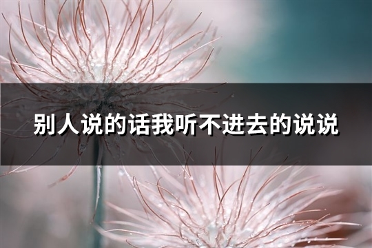 别人说的话我听不进去的说说(实用61句)