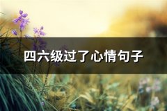 四六级过了心情句子(必备59句)