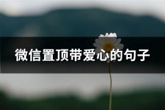 微信置顶带爱心的句子(实用89句)