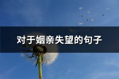 对于姻亲失望的句子(精选84句)