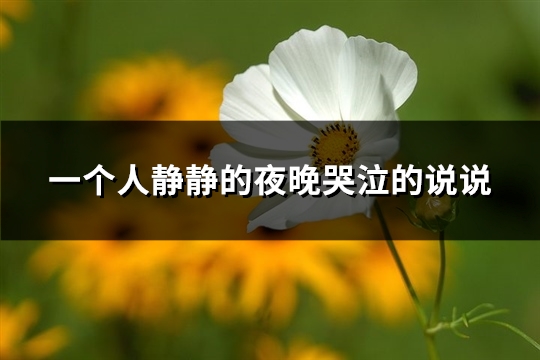 一个人静静的夜晚哭泣的说说(61句)