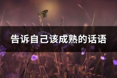 告诉自己该成熟的话语(精选65句)