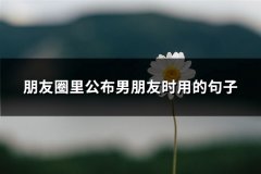 朋友圈里公布男朋友时用的句子(必备70句)