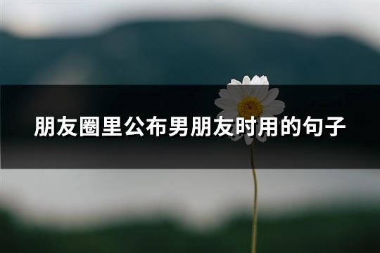 朋友圈里公布男朋友时用的句子(必备70句)