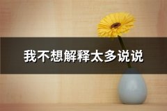 我不想解释太多说说(通用67句)