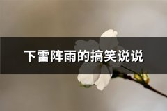 下雷阵雨的搞笑说说(共88句)
