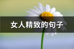 女人精致的句子(共60句)