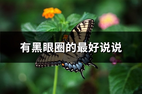 有黑眼圈的最好说说(推荐60句)