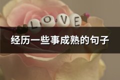 经历一些事成熟的句子(实用65句)