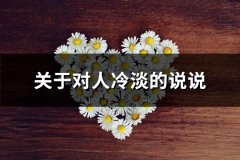 关于对人冷淡的说说(共34句)
