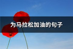 为马拉松加油的句子(汇总64句)