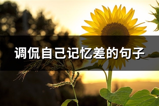 调侃自己记忆差的句子(通用62句)