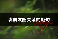 发朋友圈失落的短句(精选83句)