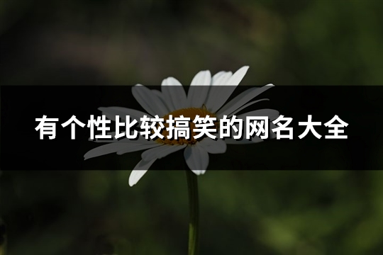 有个性比较搞笑的网名大全(精选445个) 有个性比较搞笑的网名大全(精选445个)