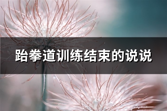 跆拳道训练结束的说说