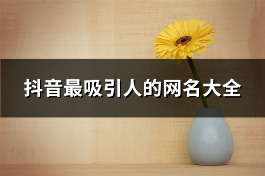 抖音最吸引人的网名大全(优选2097个) 抖音最吸引人的头像